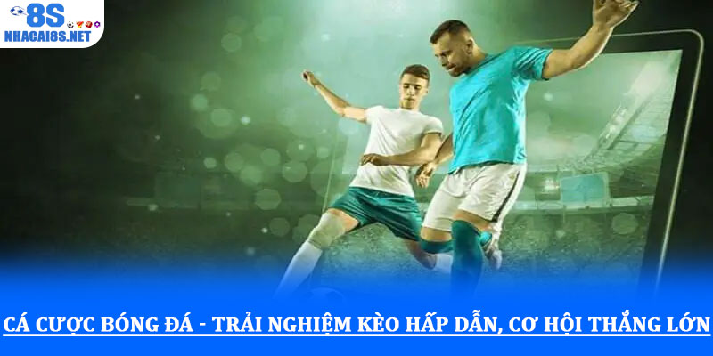 Cá cược bóng đá - Trải nghiệm kèo hấp dẫn, cơ hội thắng lớn 1 Cá cược bóng đá - Trải nghiệm kèo hấp dẫn, cơ hội thắng lớn