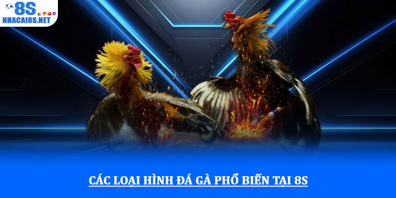 Các loại hình đá gà phổ biến tại 8S