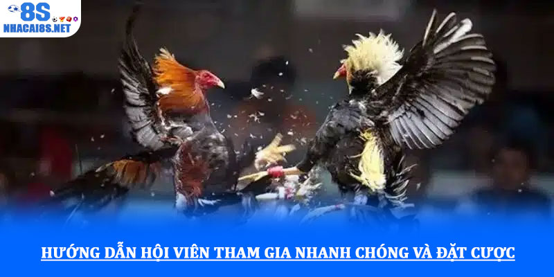 Đá gà cựa sắt với kèo cược minh bạch và giải đấu hấp dẫn 2 Hướng dẫn hội viên tham gia nhanh chóng và đặt cược