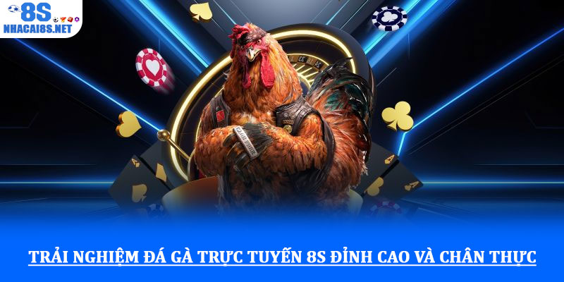 Trải nghiệm đá gà trực tuyến 8S đỉnh cao và chân thực