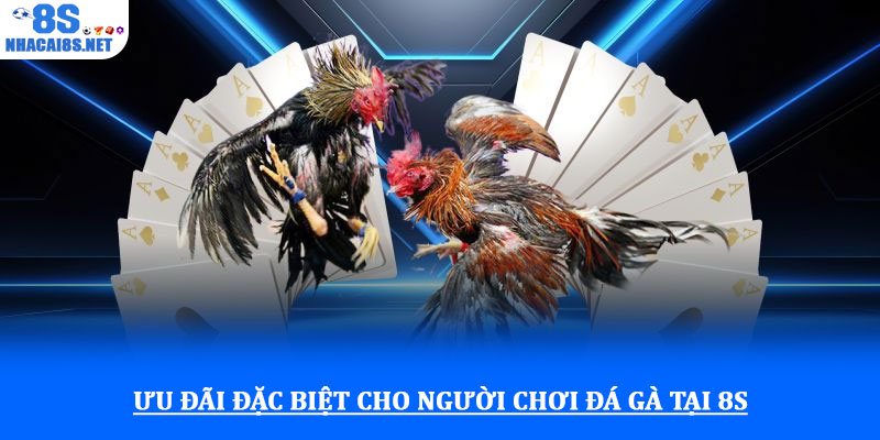 Ưu đãi đặc biệt cho người chơi đá gà tại 8S